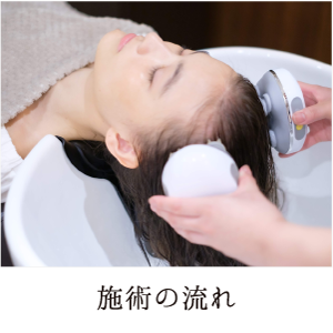 �{�p�̗���