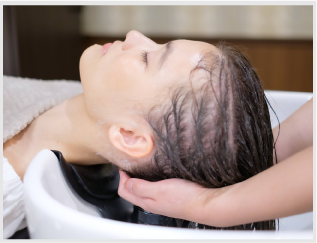 tt5.png(108165 byte)